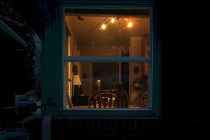 “Home” Listed as Seattle Star’s Free Thing of the Week